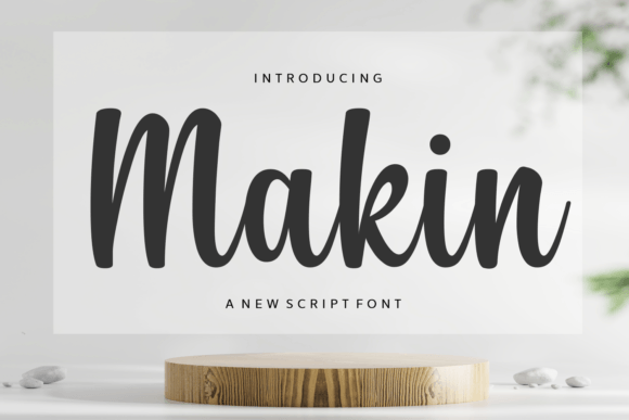Makin: A Beautiful Script Font for Business