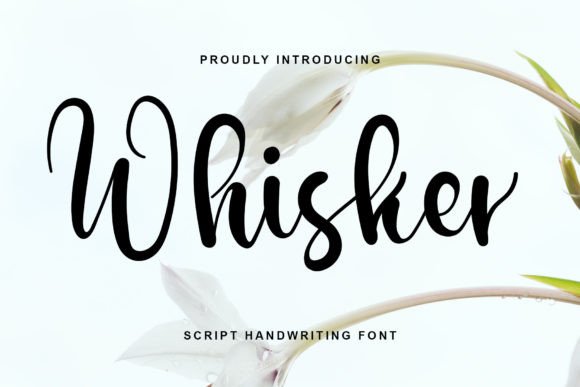 Whisker: A Stylish Script Font for Business