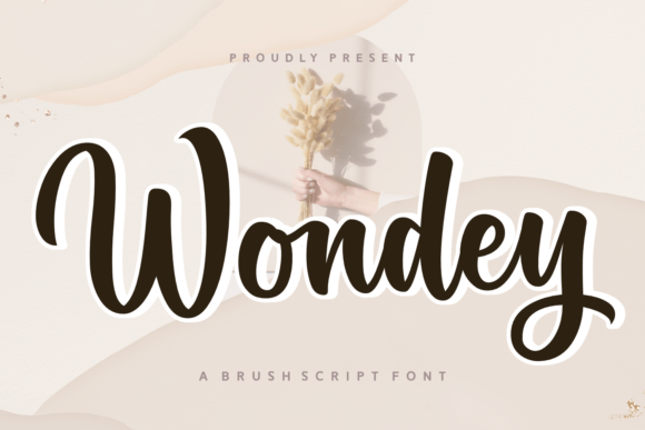 Wondey: A Charming Script Font